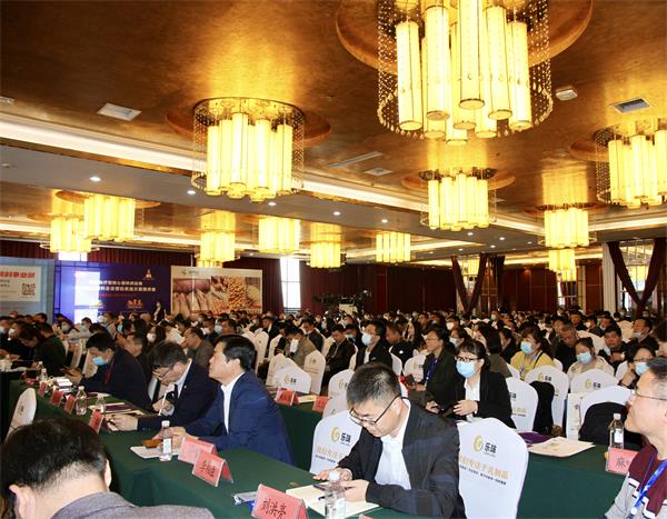 首页-人生就是博手机版