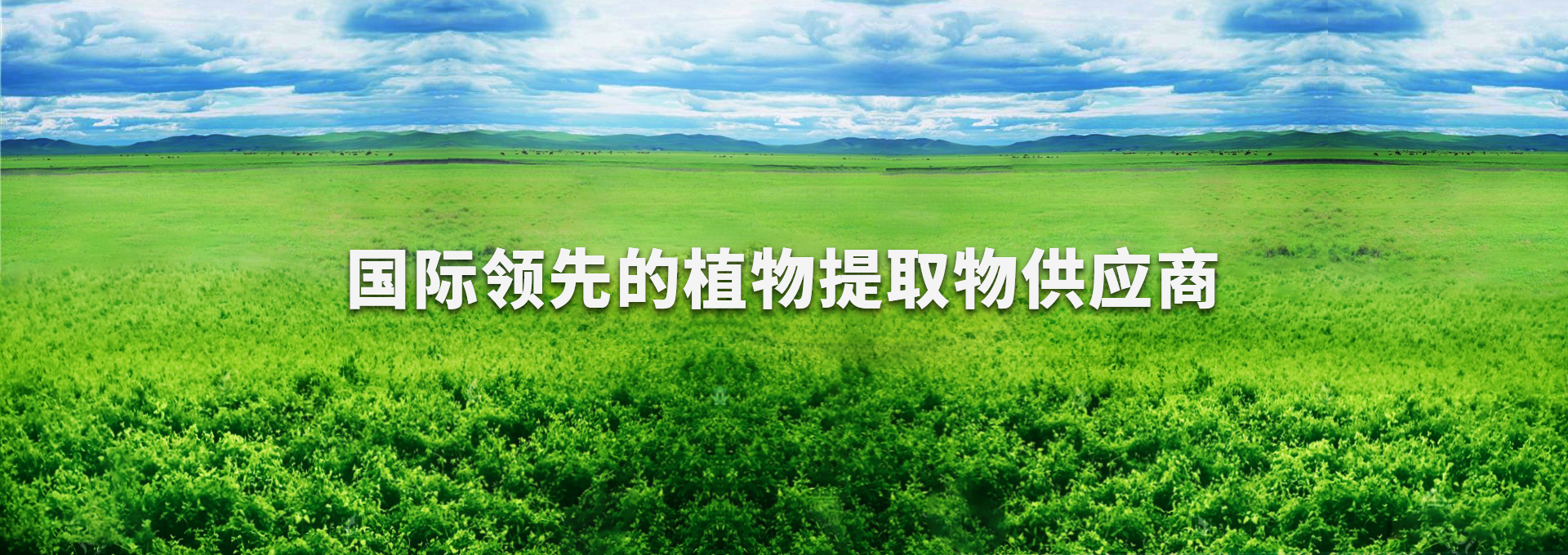 首页-人生就是博手机版