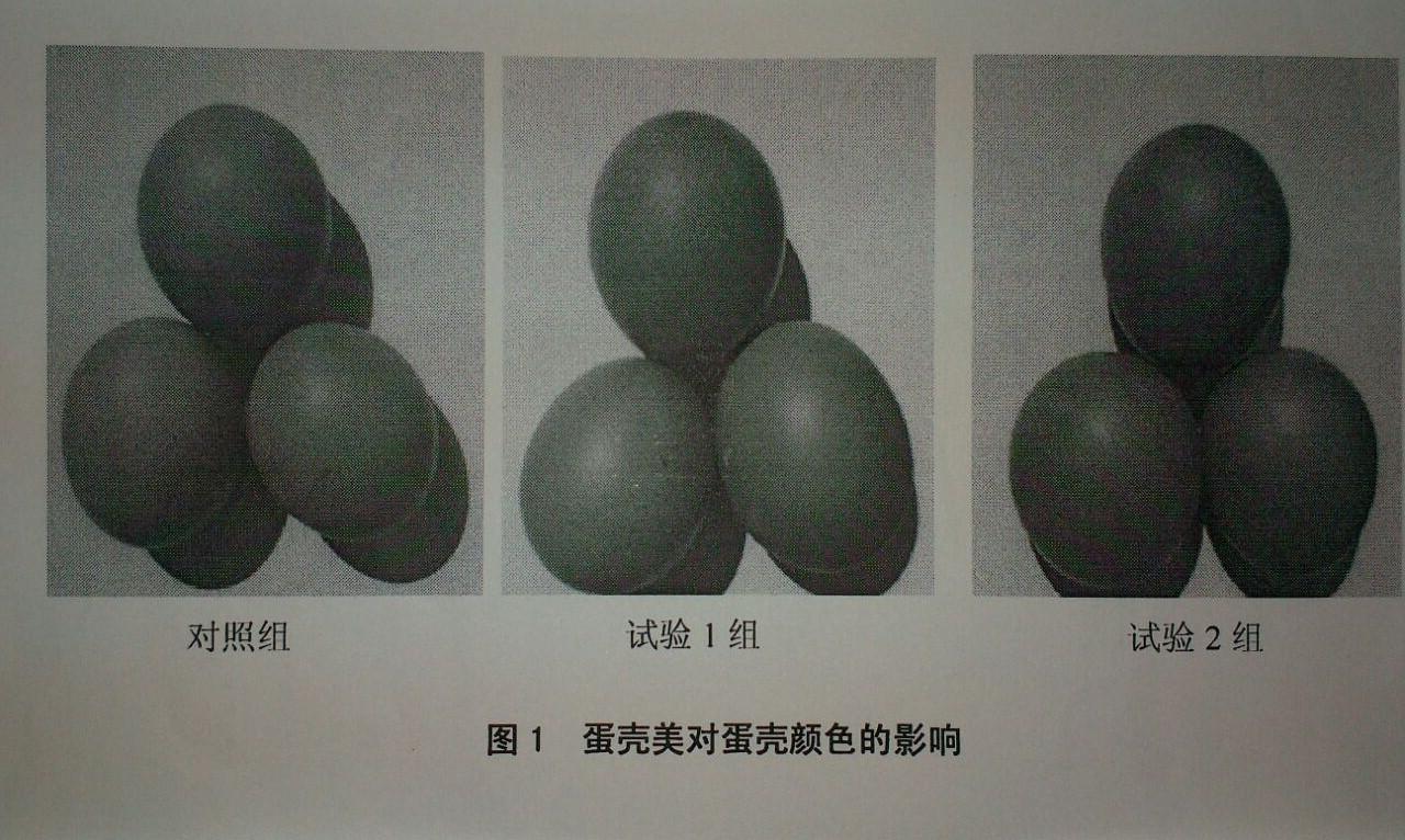 首页-人生就是博手机版