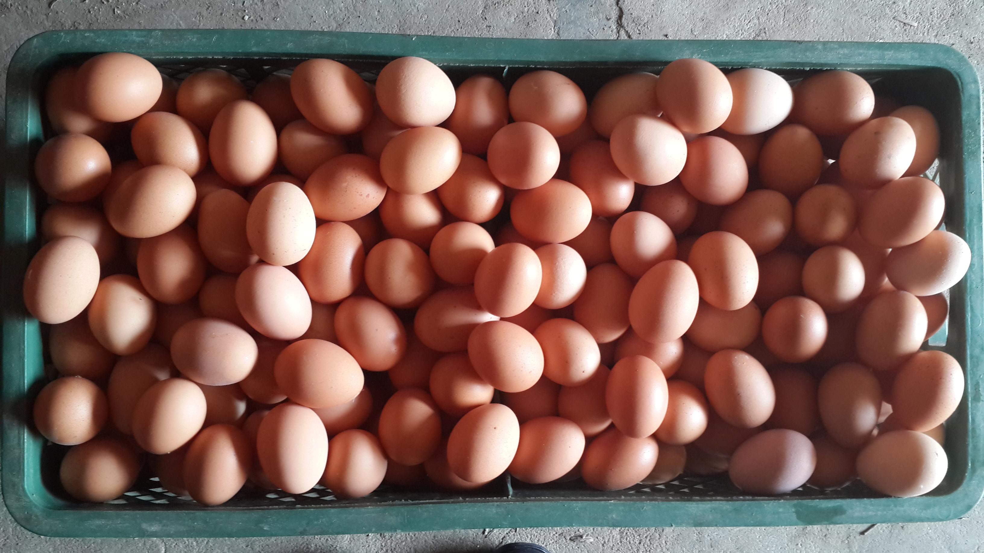 首页-人生就是博手机版