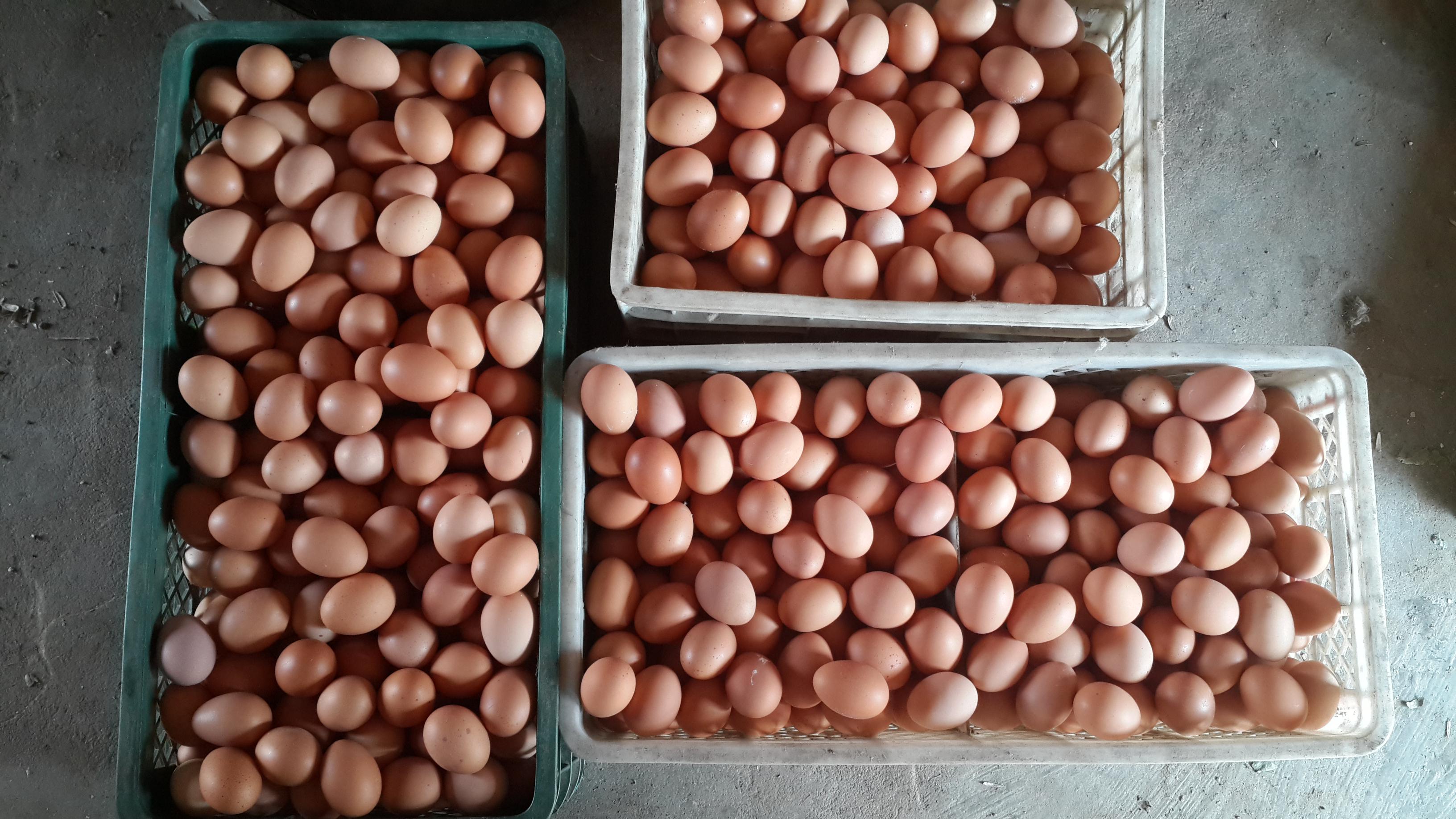 首页-人生就是博手机版