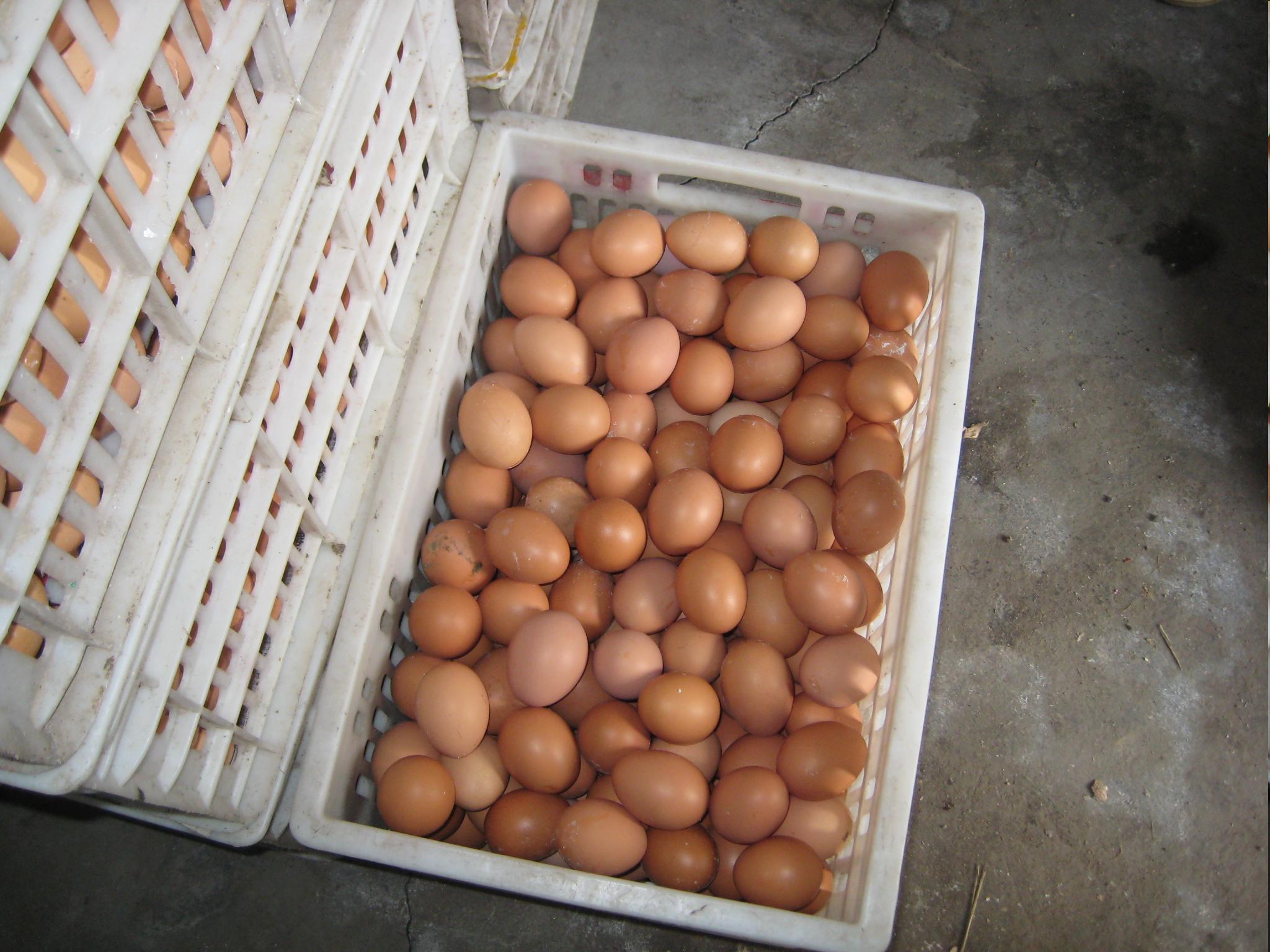 首页-人生就是博手机版