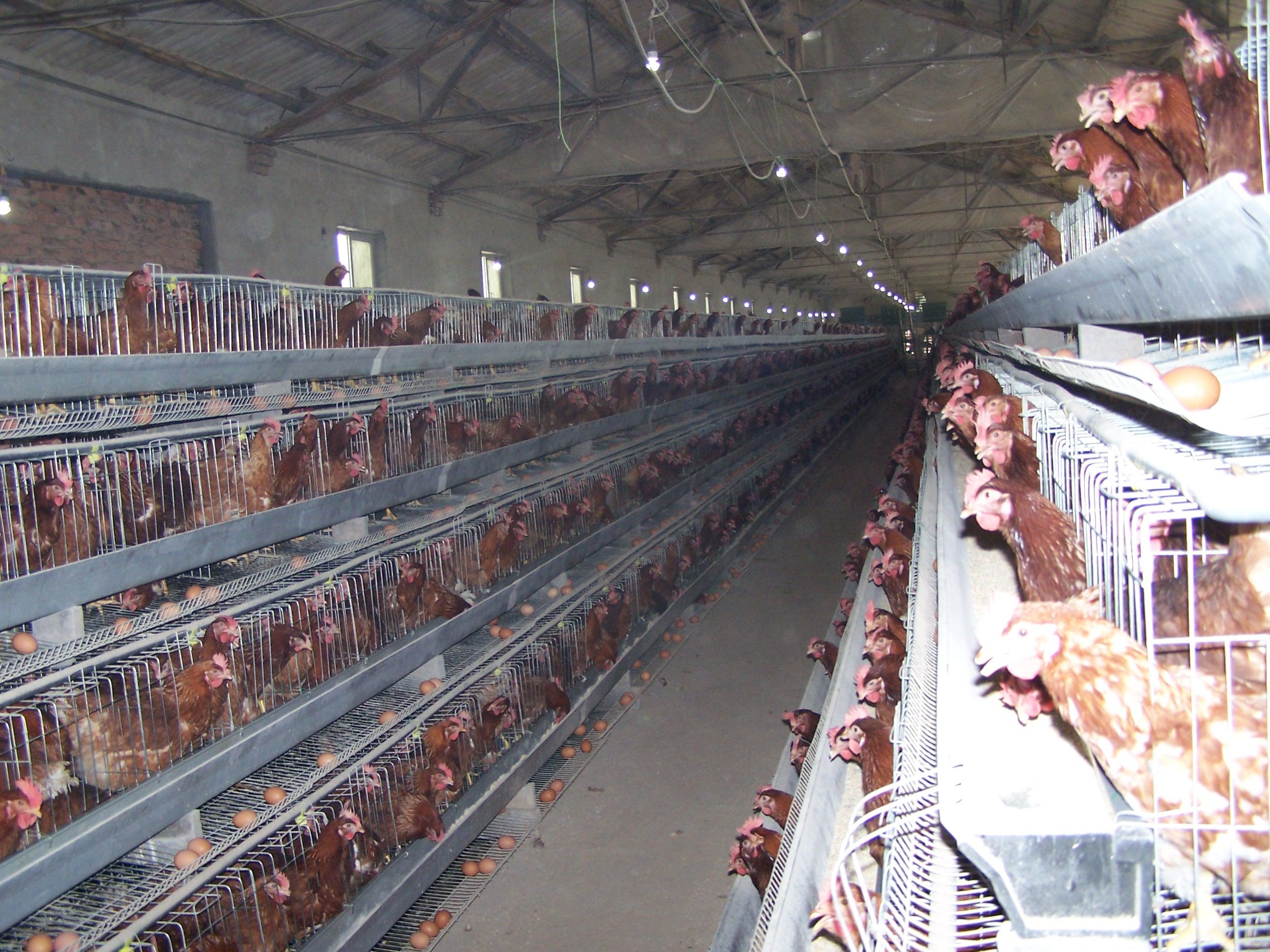 首页-人生就是博手机版