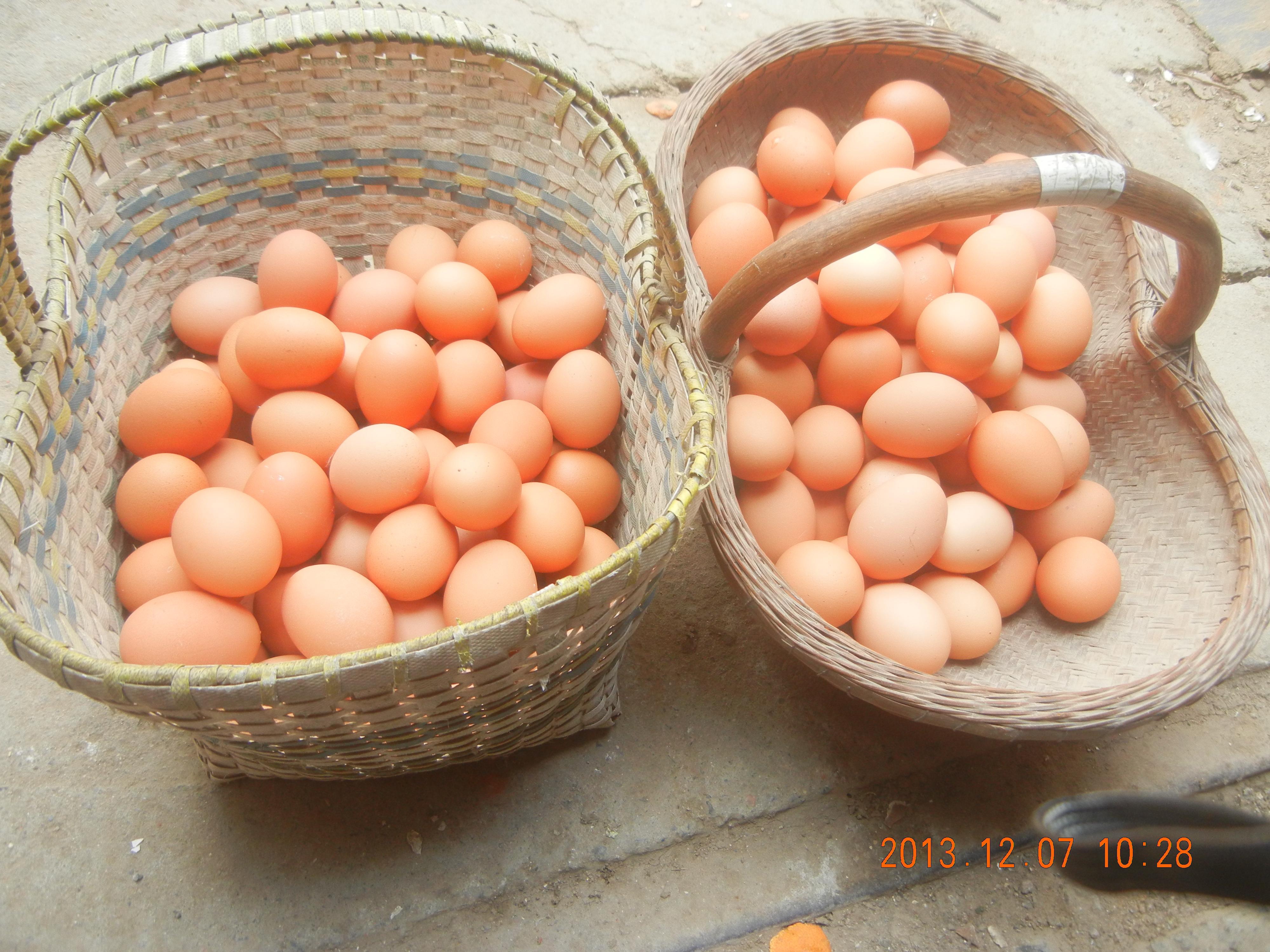 首页-人生就是博手机版