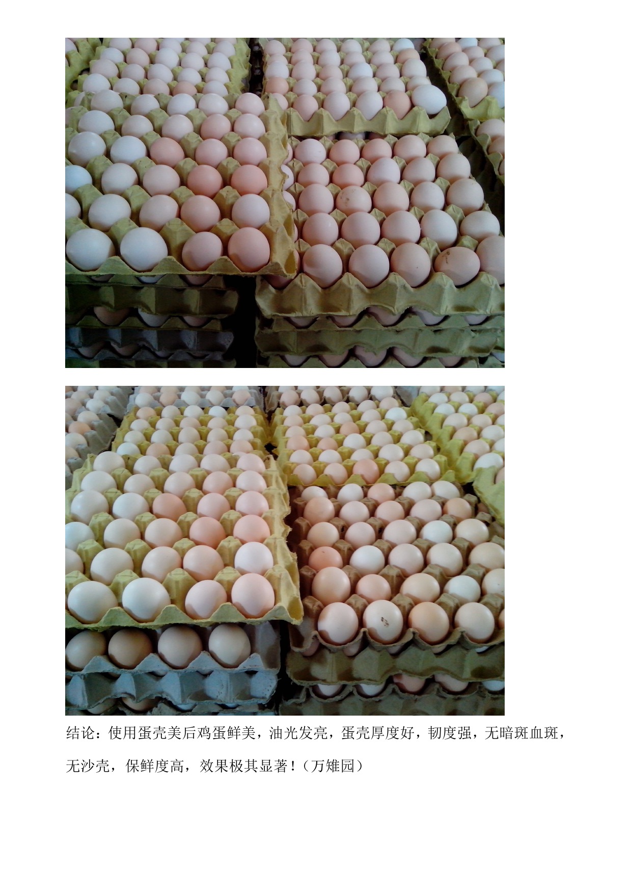 首页-人生就是博手机版