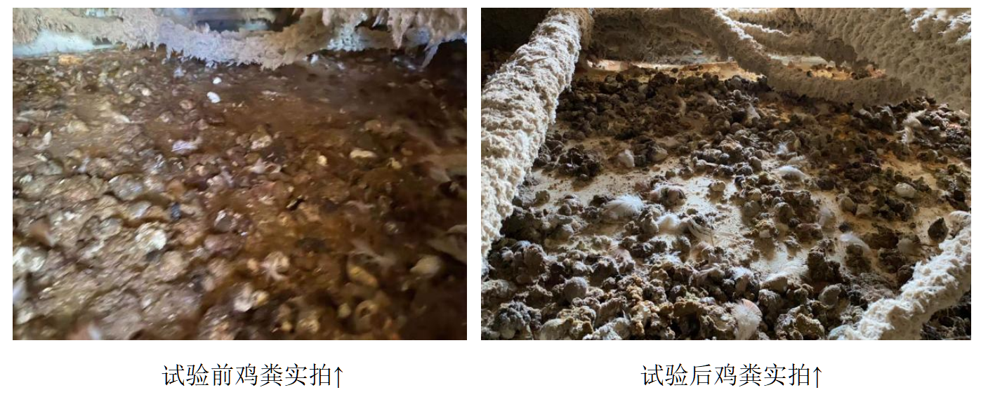 首页-人生就是博手机版