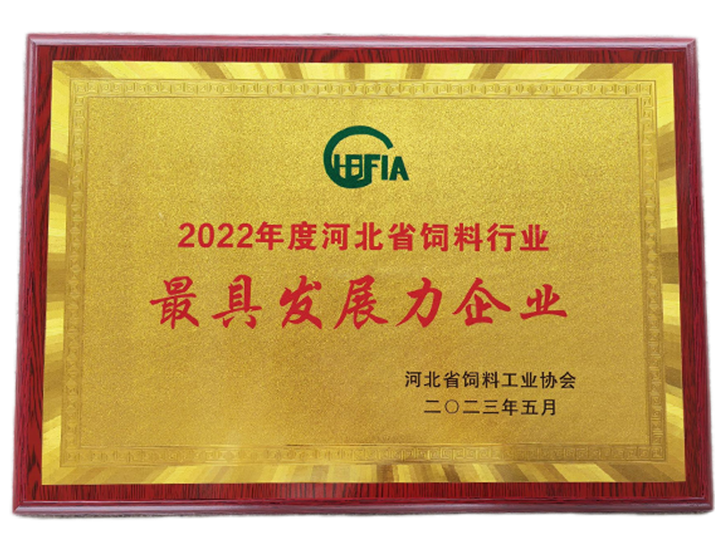 首页-人生就是博手机版