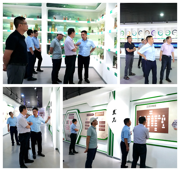 首页-人生就是博手机版